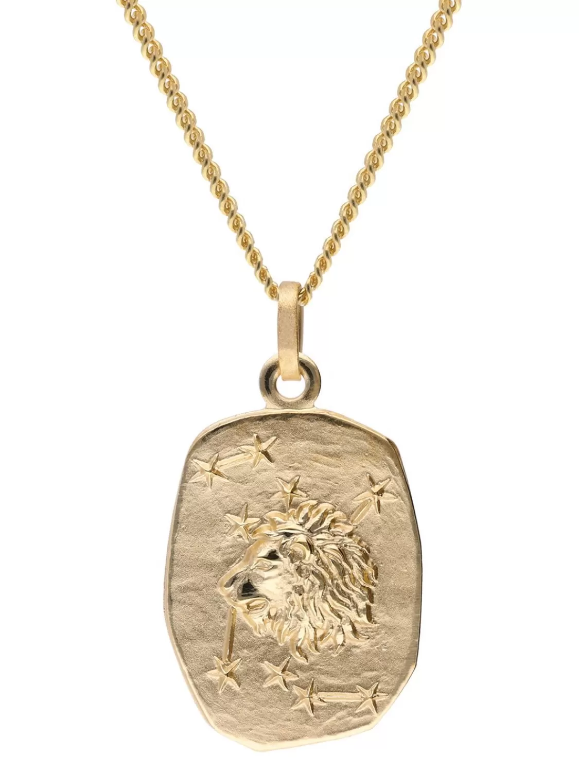 trendor Lowe Sternzeichen Gold 333 / 8K Mit Vergoldeter Silberkette | Herrenschmuck