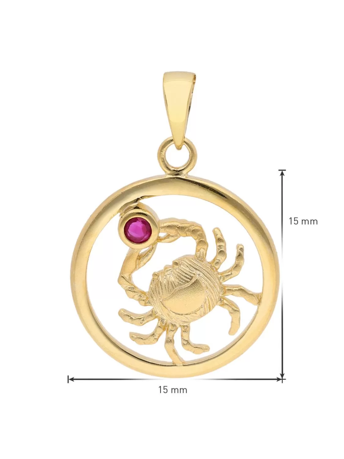 trendor Sternzeichen Krebs Gold 333 Mit Rubin + Vergoldete Kette | Damenschmuck