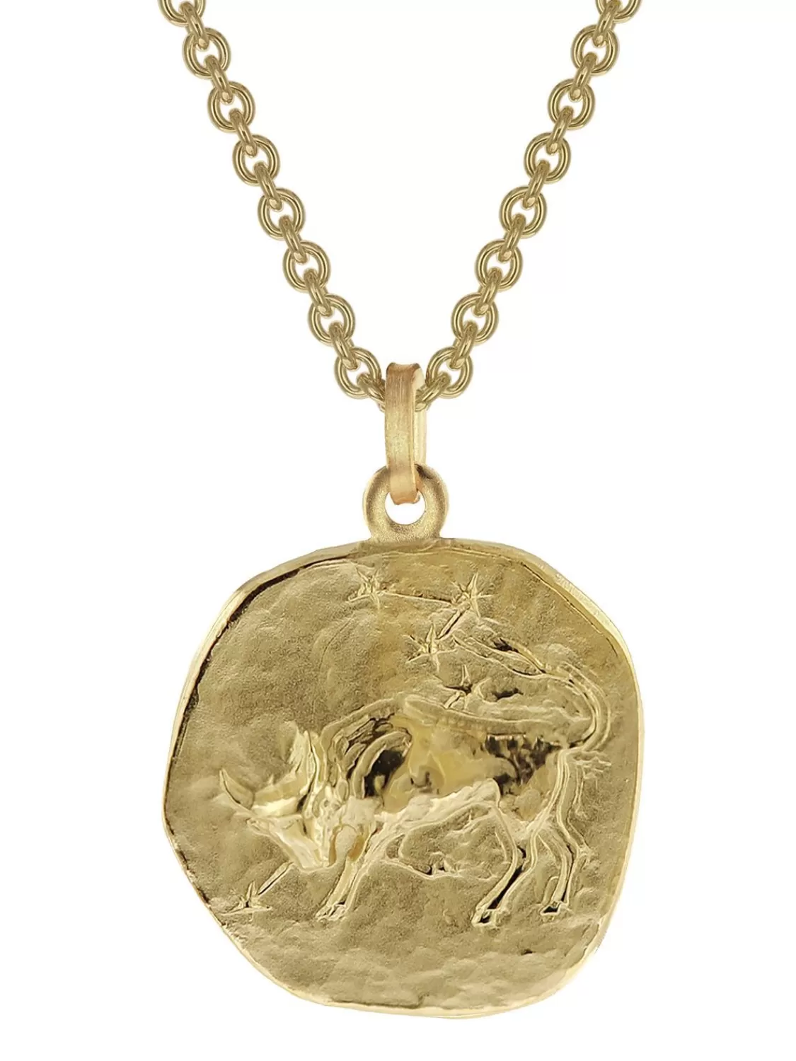 trendor Stier Sternzeichen O 20 Mm Herren-Halskette Gold Auf Silber | Herrenschmuck