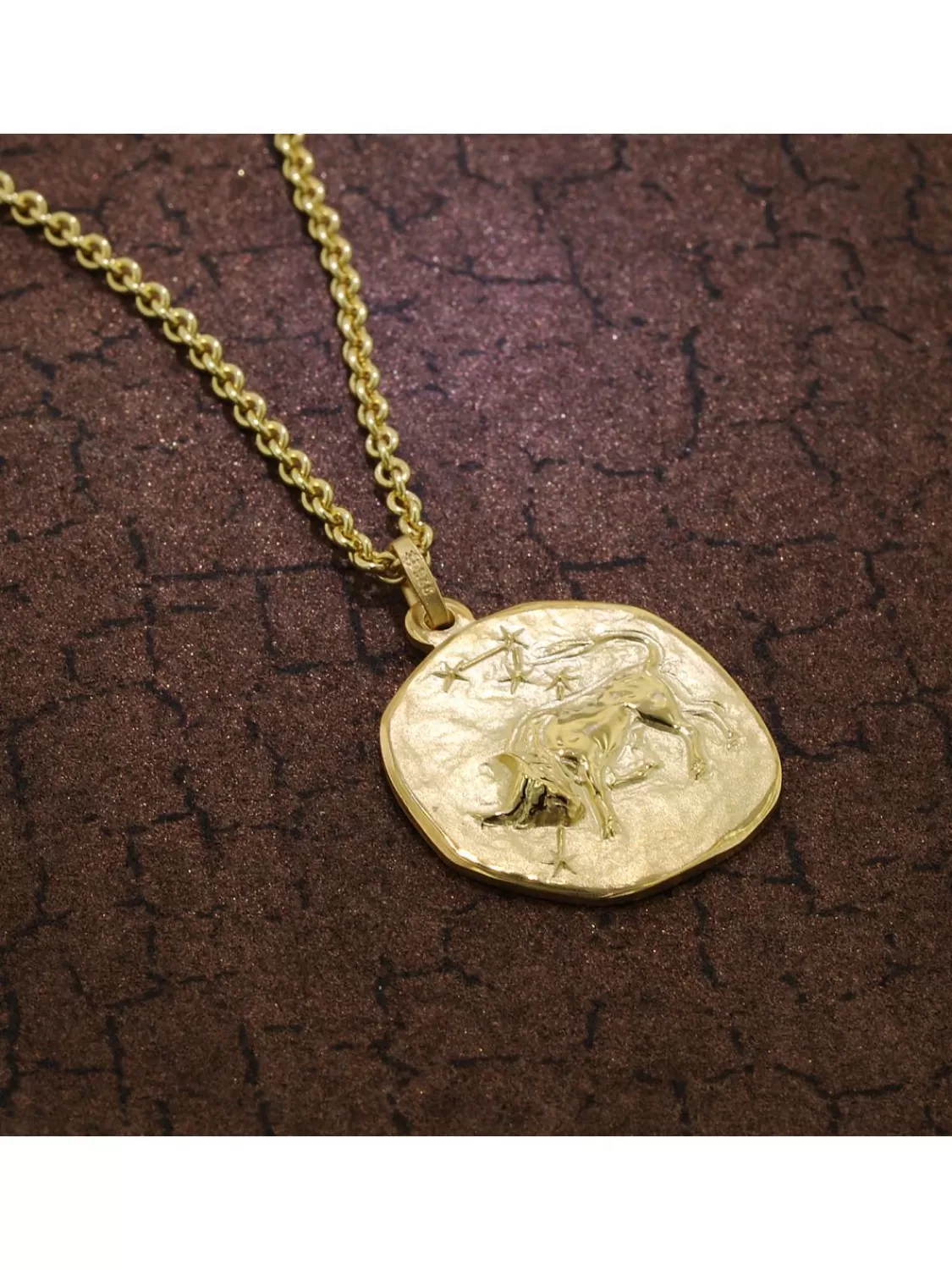 trendor Stier Sternzeichen O 20 Mm Herren-Halskette Gold Auf Silber | Herrenschmuck