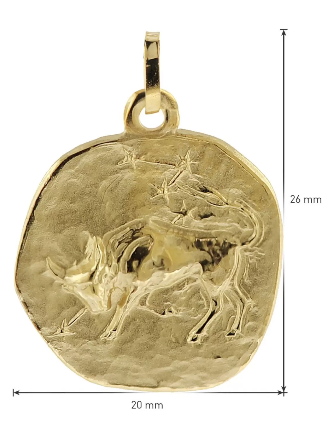 trendor Stier Sternzeichen O 20 Mm Herren-Halskette Gold Auf Silber | Herrenschmuck